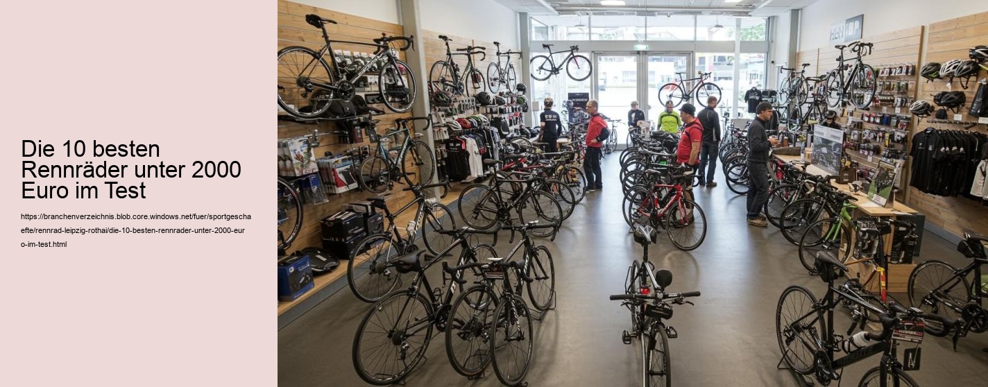Die 10 besten Rennräder unter 2000 Euro im Test